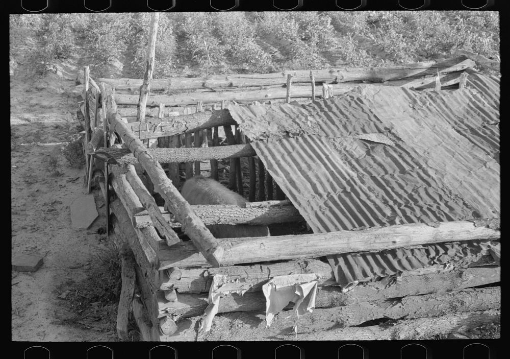 Detail of construction of hogpen of Indian agricultural day laborer, McIntosh County, Oklahoma by Russell Lee
