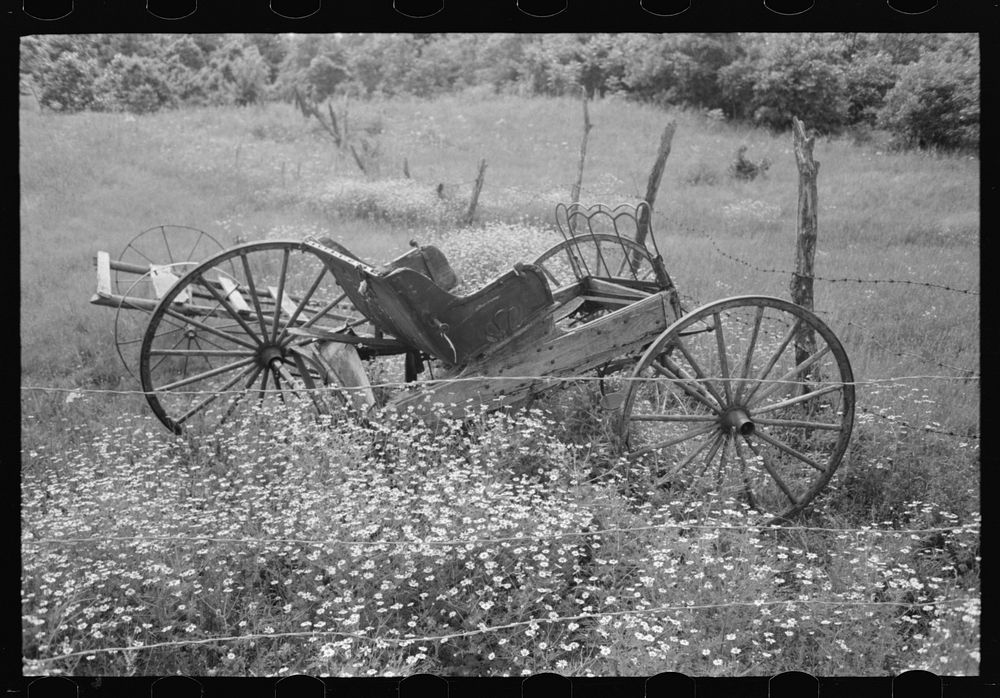 Old buggy in a field of daisies near Vian, Oklahoma, on abandoned farm by Russell Lee