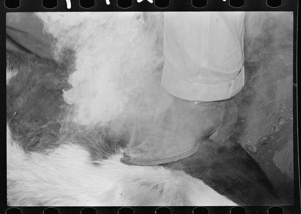 [Untitled photo, possibly related to Free Photo rawpixel