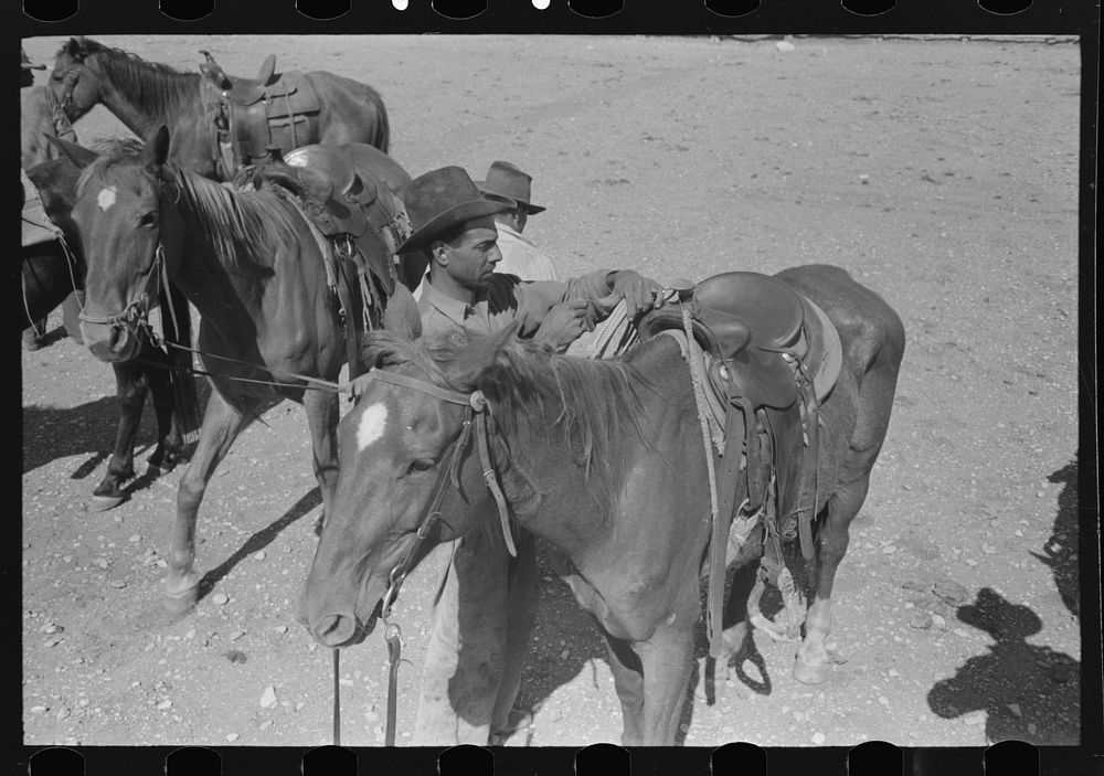 [Untitled photo, possibly related to: Cowboy saddling horse. Roundup near Marfa, Texas] by Russell Lee