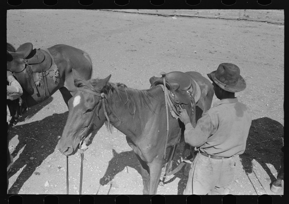 Cowboy saddling horse. Roundup near Marfa, Texas by Russell Lee
