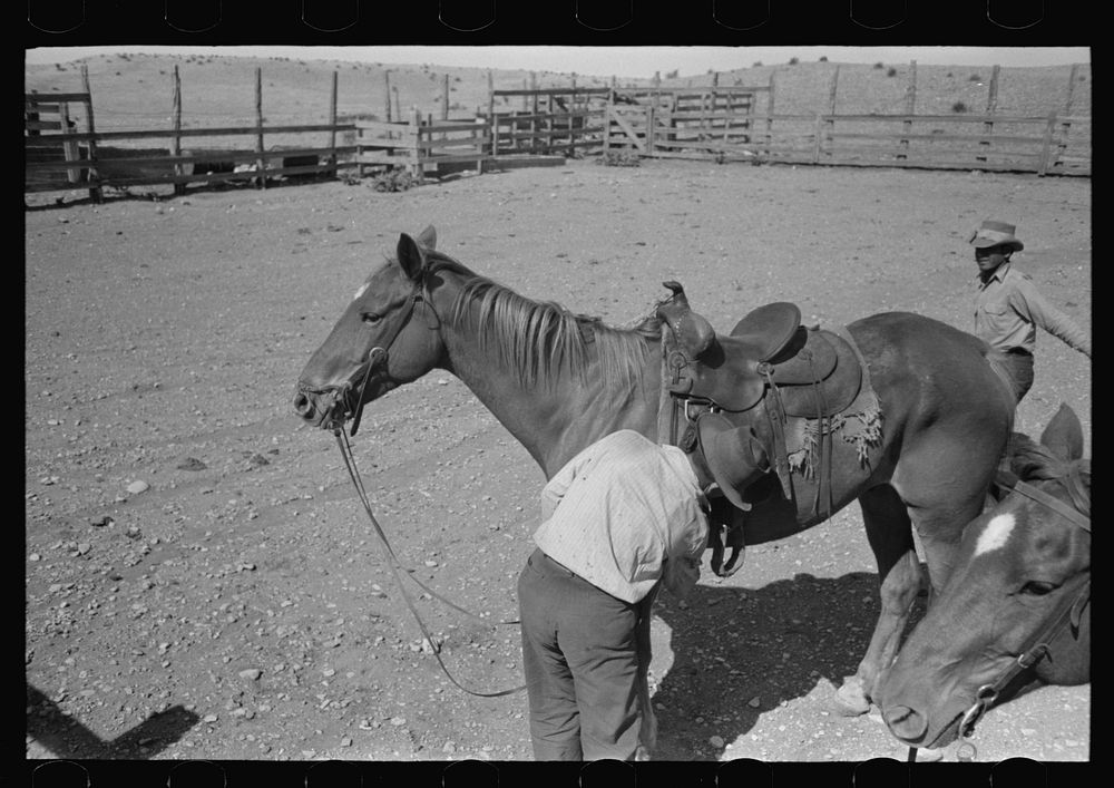 [Untitled photo, possibly related to: Cowboy saddling horse. Roundup near Marfa, Texas] by Russell Lee