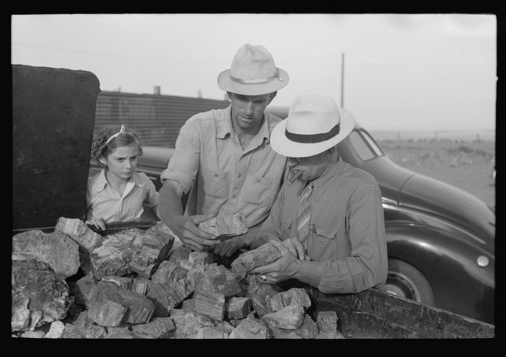 Tourist buying piece of petrified wood near Petrified National Forest, Arizona by Russell Lee