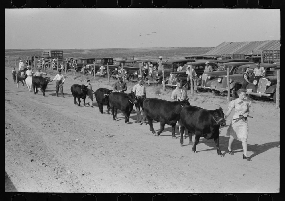 [Untitled photo, possibly related to: Parade of the champions by 4-H Club members at 4-H Club fair, Cimarron, Kansas] by…