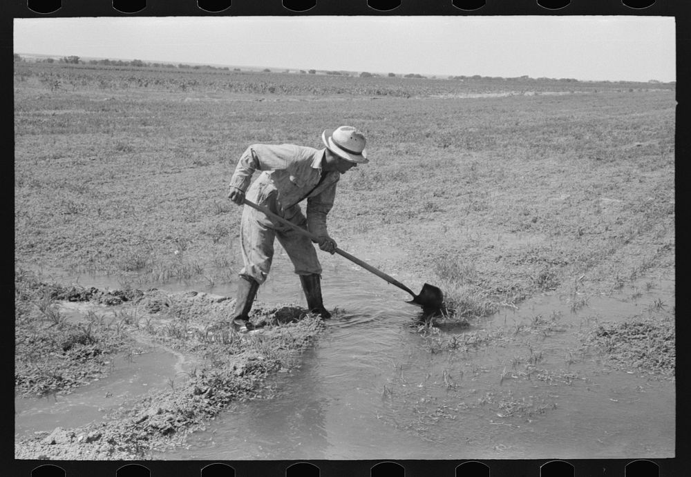 Mr. Johnson, FSA (Farm Security Administration) client with part interest in cooperative well, irrigating his fields near…