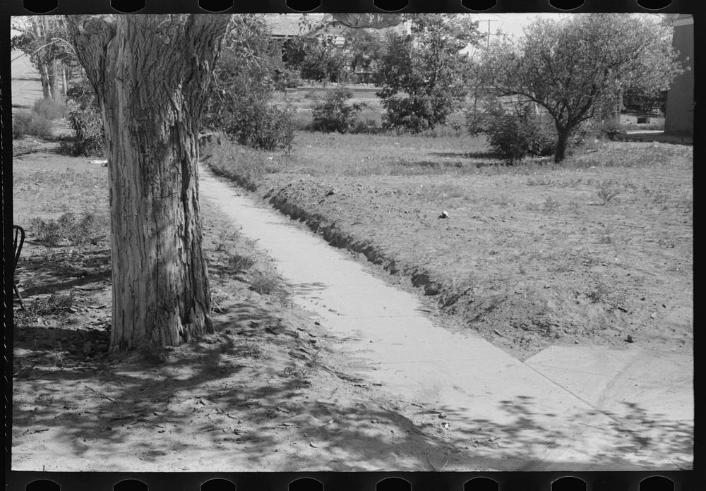 [Untitled photo, possibly related to: Sidewalk in Syracuse, Kansas. The level on the ground on either side of the sidewalk…
