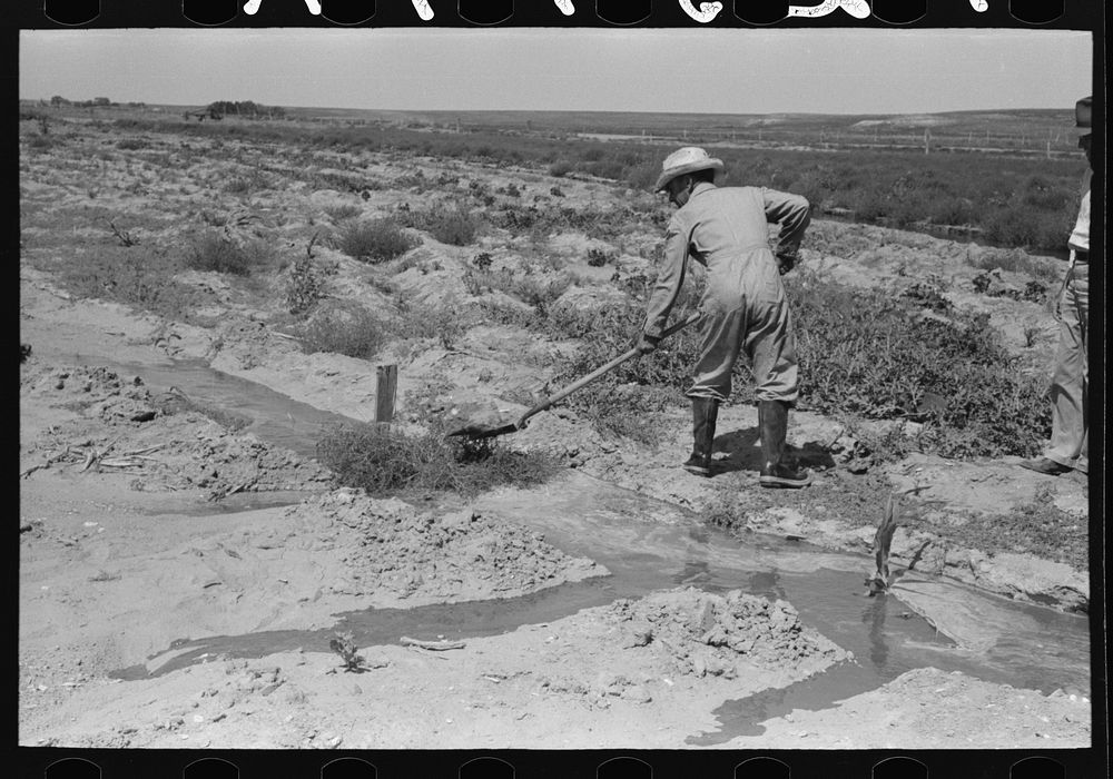 Mr. Johnson, FSA (Farm Security Administration) client with part interest in cooperative well using a makeshift dam of…
