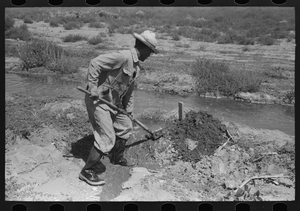 [Untitled photo, possibly related to: Mr. Johnson, FSA (Farm Security Administration) client with part interest in…