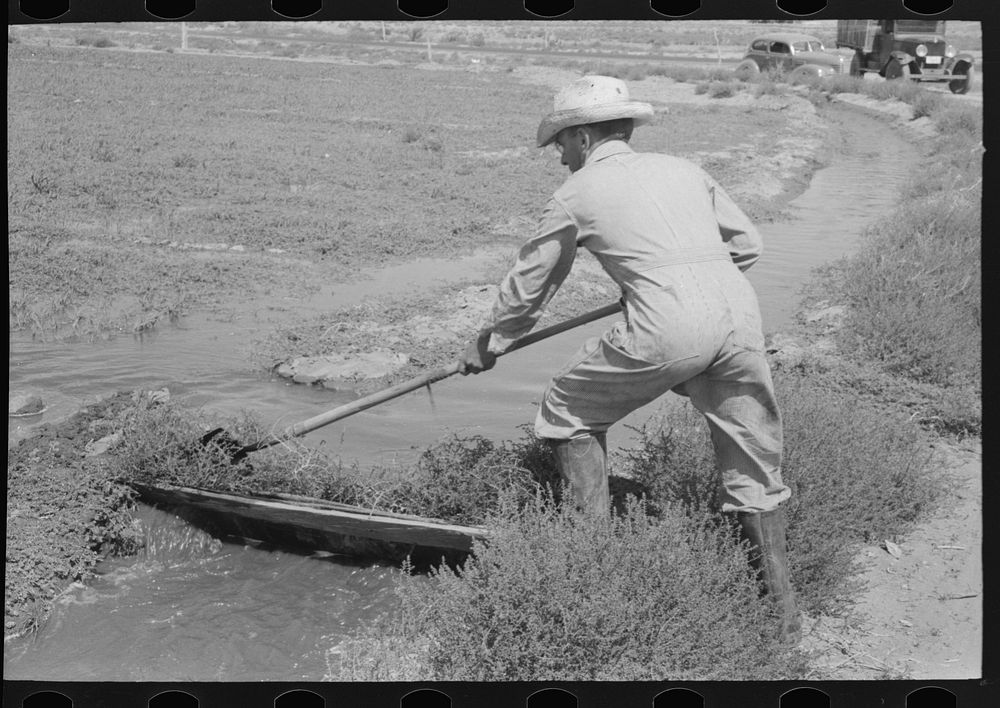 Mr. Johnson, FSA (Farm Security Administration) client with part interest in cooperative well, irrigating. He just built…
