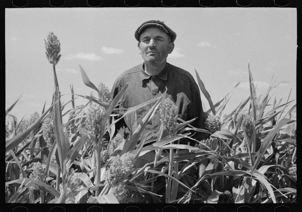 [Untitled photo, possibly related to: Mr. Wright, tenant farmer of Mr. Johnson and in cooperative with him in irrigation…