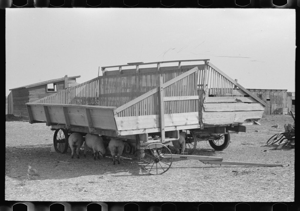 Hay wagons on farm in Sheridan County, Kansas by Russell Lee