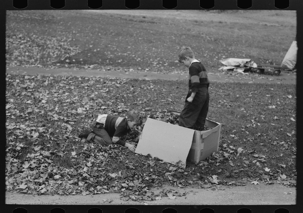 Boys gathering leaves into cardboard box. Front lawn in Bradford, Vermont by Russell Lee