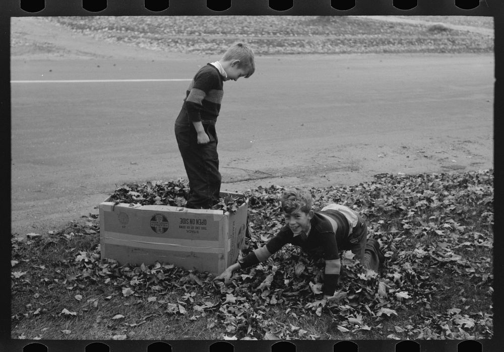[Untitled photo, possibly related to: Boys gathering leaves into cardboard box. Front lawn in Bradford, Vermont] by Russell…