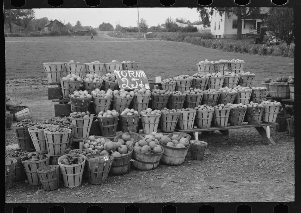 Roadside Display Of Pumpkins And 