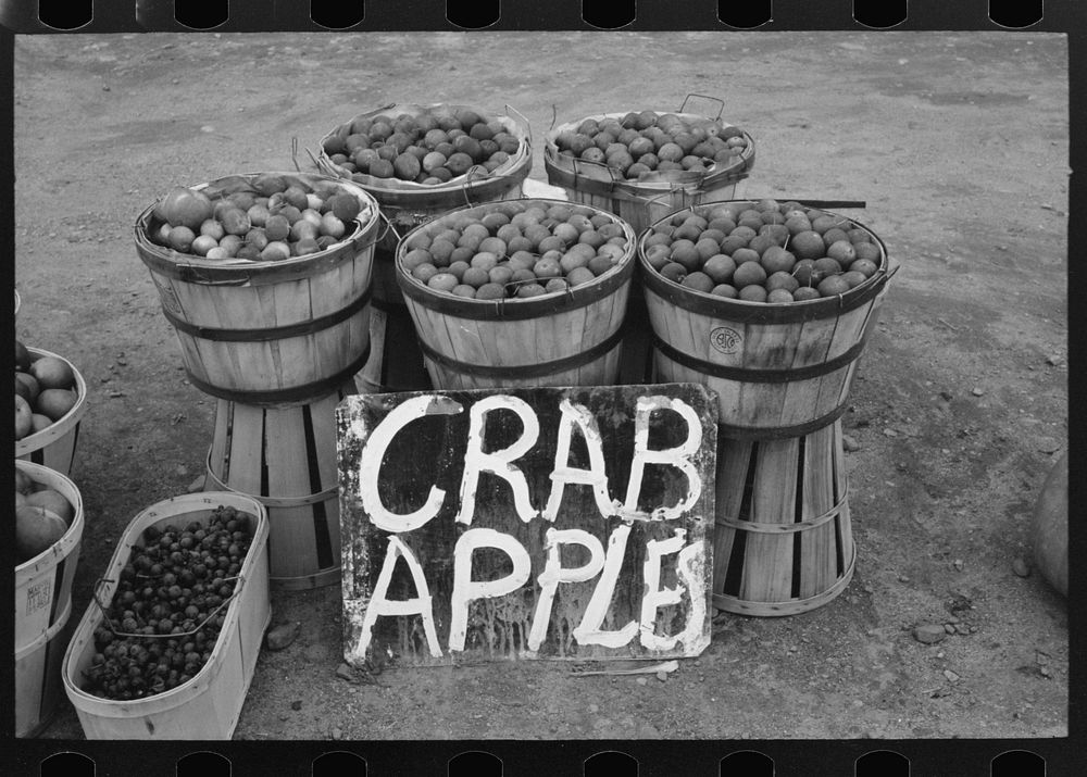 Crab apples displayed at roadside stand near Berlin, Connecticut by Russell Lee