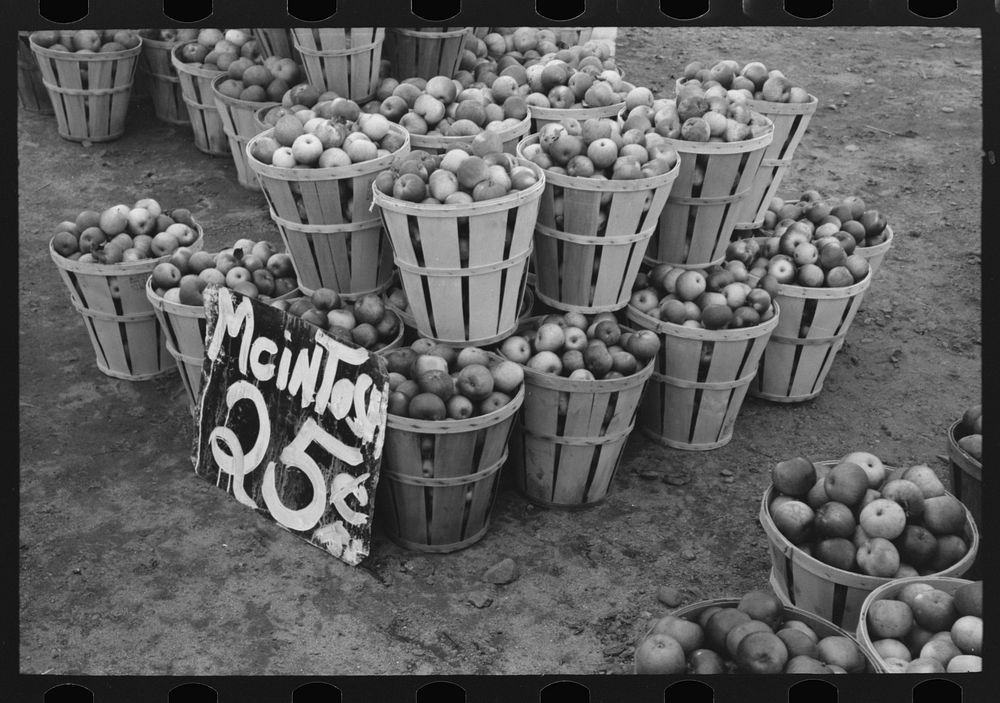 McIntosh apples displayed at roadside stand near Berlin, Connecticut by Russell Lee