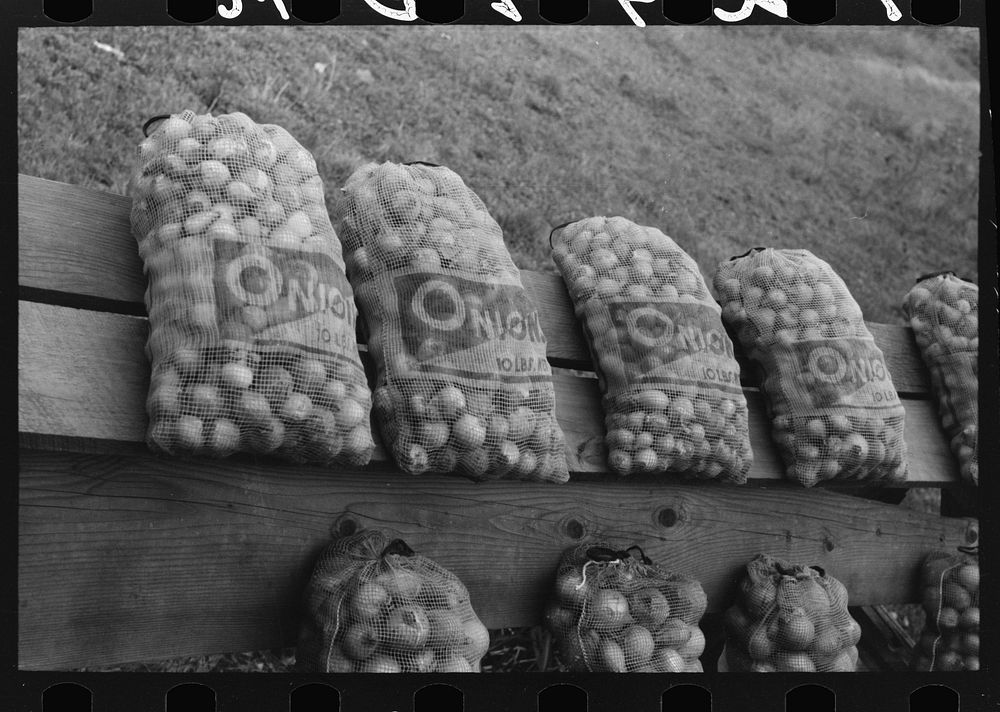 [Untitled photo, possibly related to: Onions at market near Greenfield, Massachusetts] by Russell Lee
