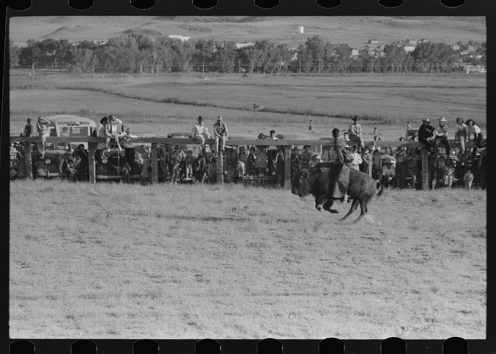 [Untitled photo, possibly related to: Cowboy riding steer, Bean Day rodeo, Wagon Mound, New Mexico] by Russell Lee