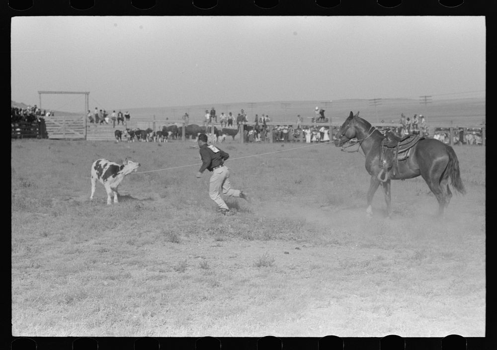 Cowboy running to tie calf after he has roped him, Bean Day rodeo, Wagon Mound, New Mexico by Russell Lee