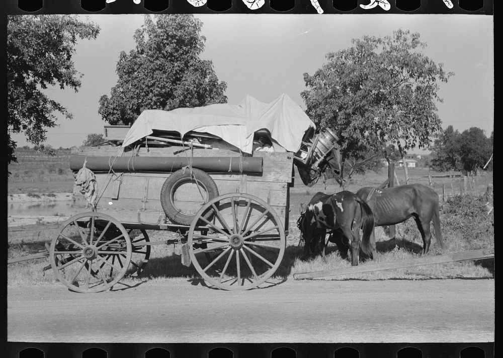 Farmer moving in wagon from farm to a new farm. He had stopped for rest and repair along roadside in Smith County, Texas by…