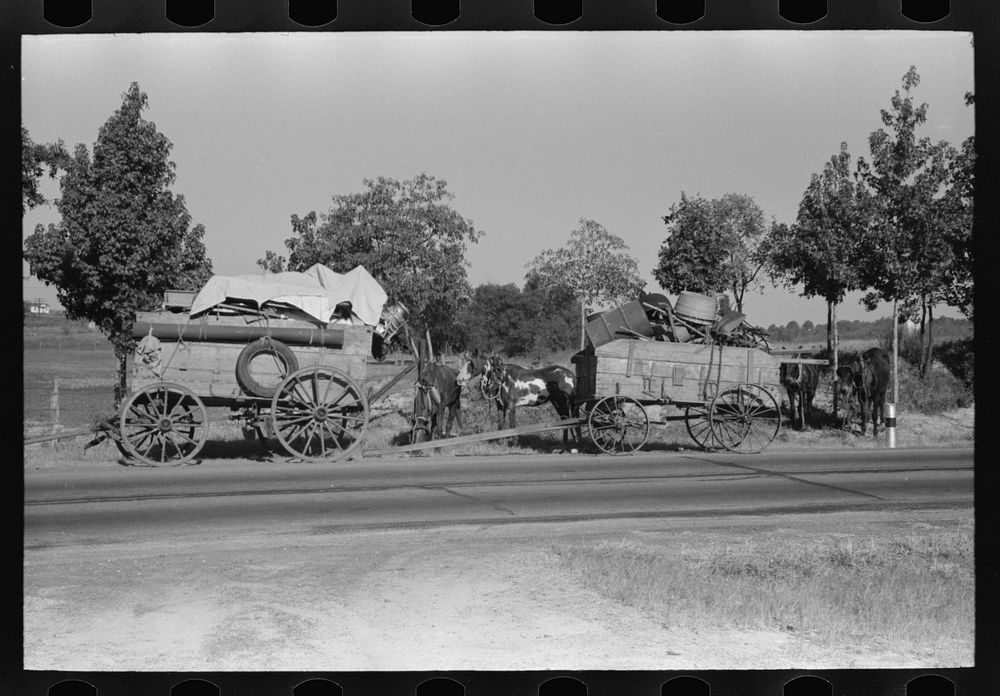 [Untitled photo, possibly related to: Farmer moving in wagon from farm to a new farm. He had stopped for rest and repair…