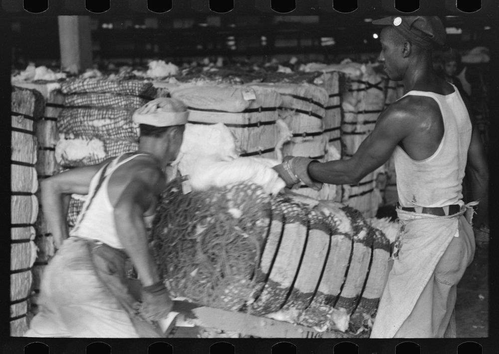  man slashes bale of cotton to take sample as it passes him on a hand truck. Cotton compress, Houston, Texas by Russell Lee