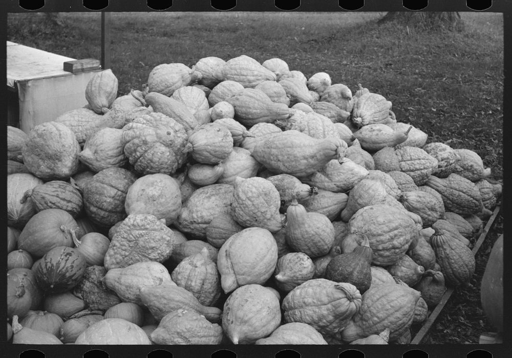 [Untitled photo, possibly related to: Squash near Berlin, Connecticut, roadside stand] by Russell Lee