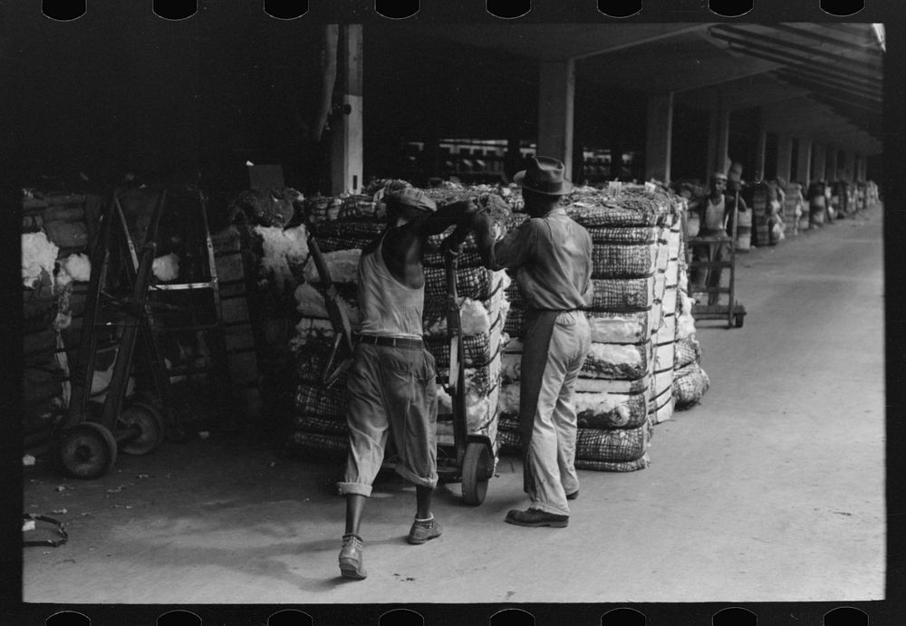 [Untitled photo, possibly related to: Putting grappling hooks on bale of cotton. The bale will be weighed as it swings in…