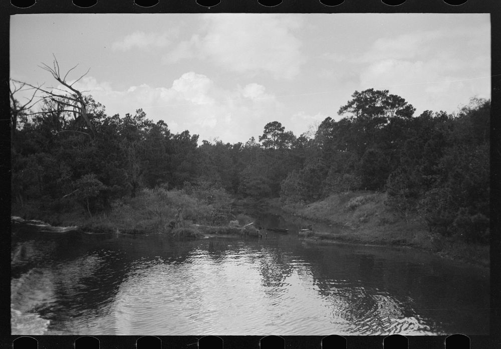 [Untitled photo, possibly related to: Trees and moss along the bayou, Port of Houston, Houston, Texas] by Russell Lee