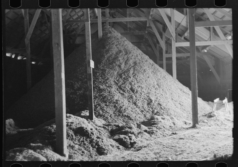 Pile of cotton seed hulls, cotton seed oil mill, Waco, Texas by Russell Lee
