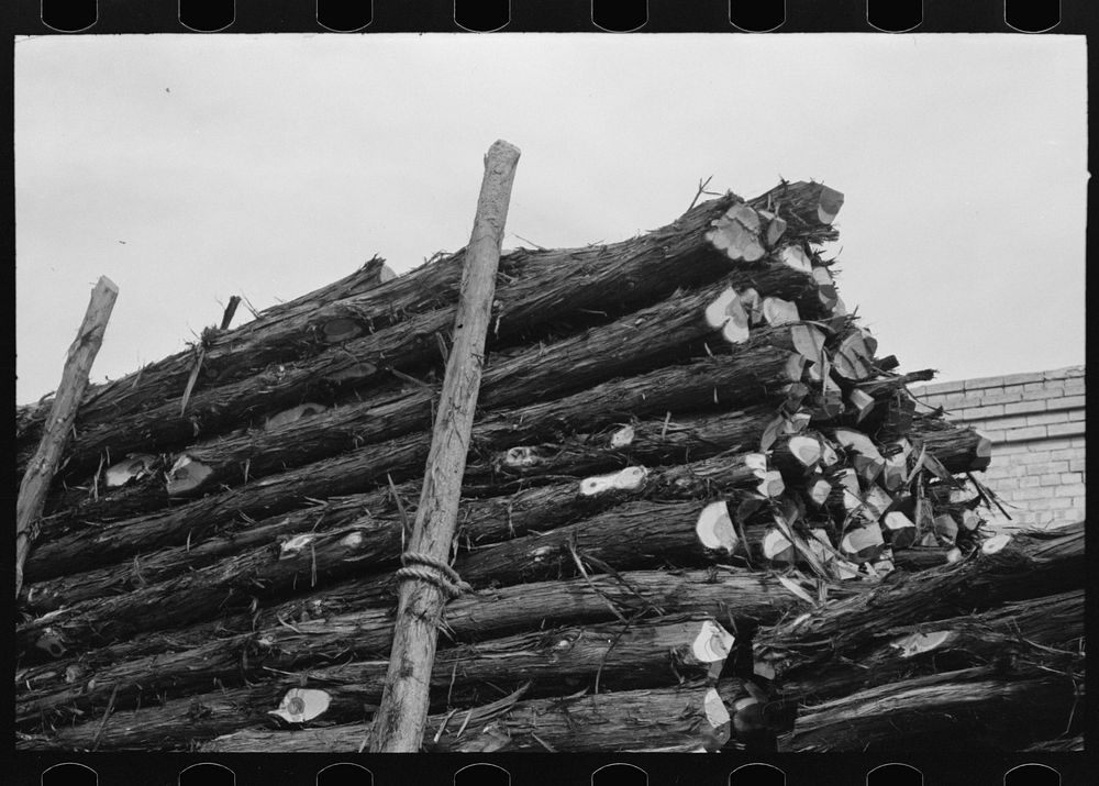 [Untitled photo, possibly related to: Truckloads of fence posts en route for Oklahoma. Clifton, Texas] by Russell Lee