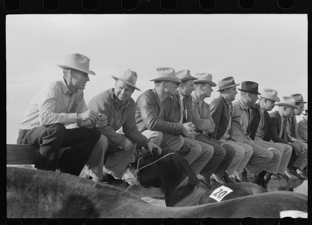 West Texans sitting on fence at horse auction, Eldorado, Texas by Russell Lee