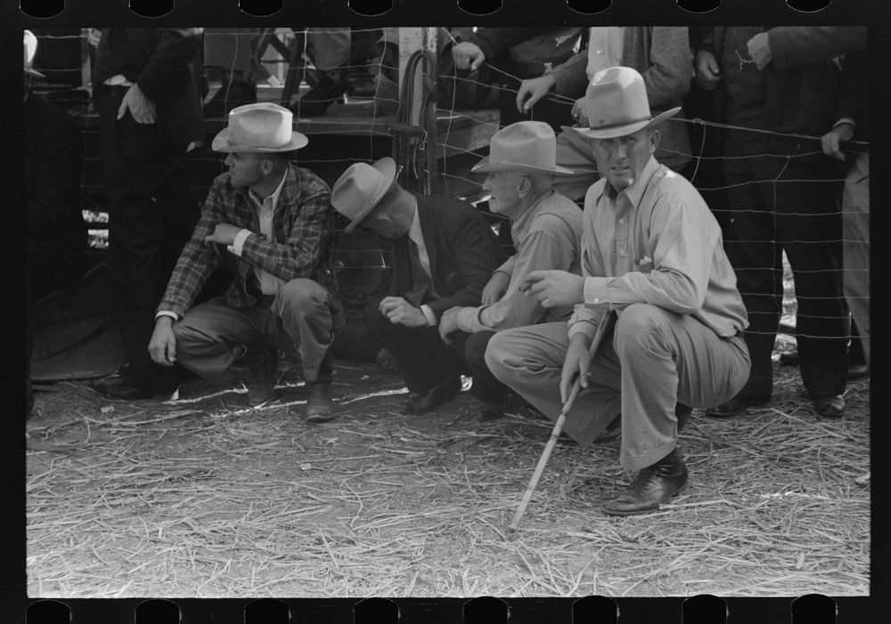 West Texans at horse auction, Eldorado, Texas by Russell Lee