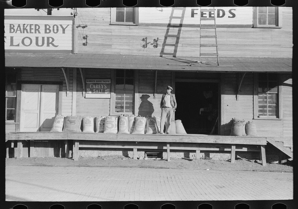 Feed store, Brownwood, Texas by Russell Lee