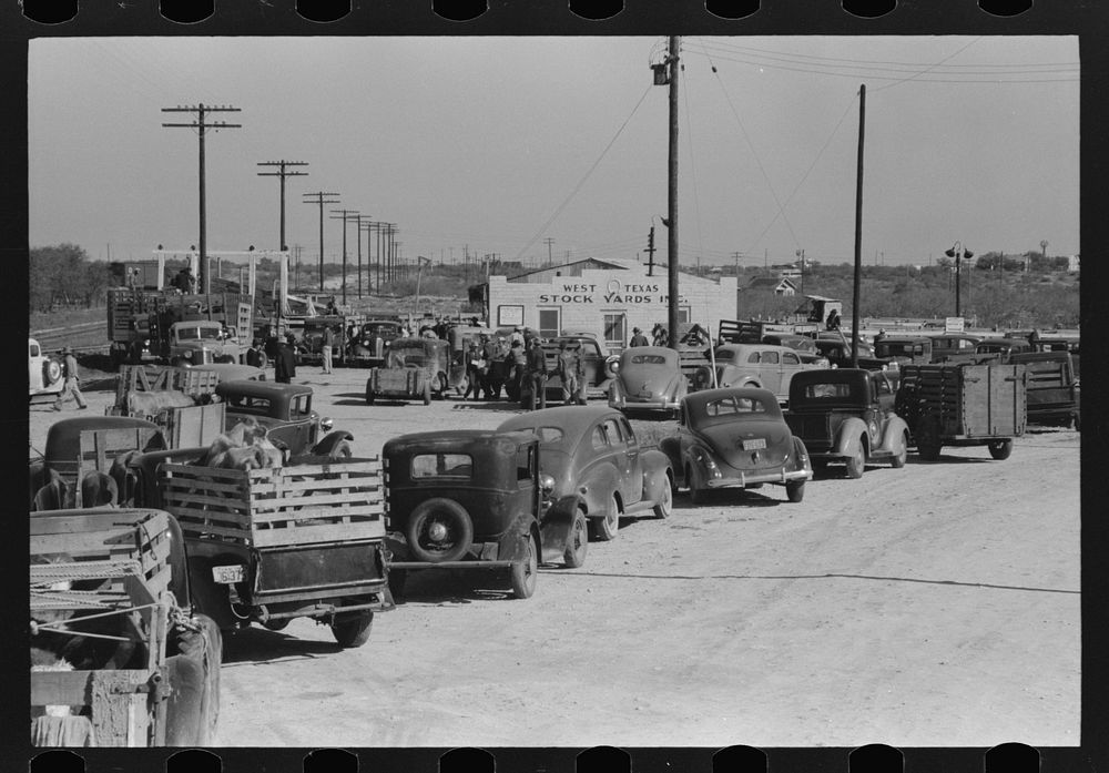 [Untitled photo, possibly related to: Lineup of trucks waiting to be unloaded at stockyard, San Angelo, Texas] by Russell Lee