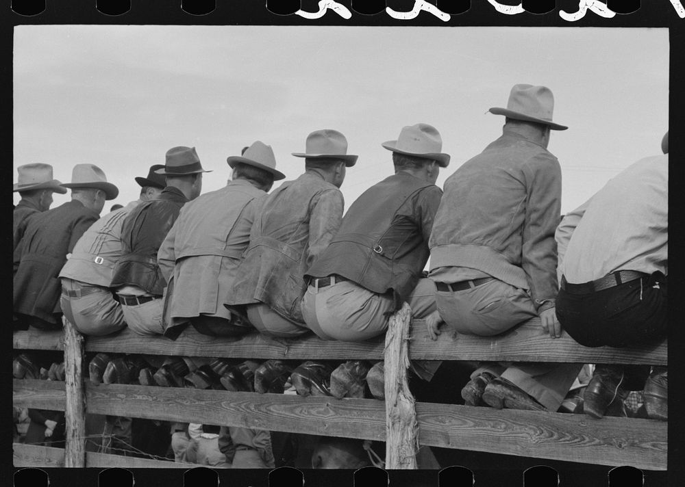 West Texans sitting on fence at horse auction, Eldorado, Texas by Russell Lee