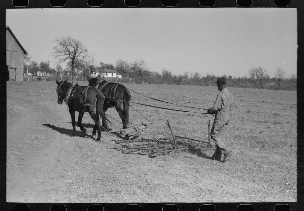 Son of Pomp Hall, tenant farmer, going to work the field with a spike tooth harrow, Creek County, Oklahoma. See general…
