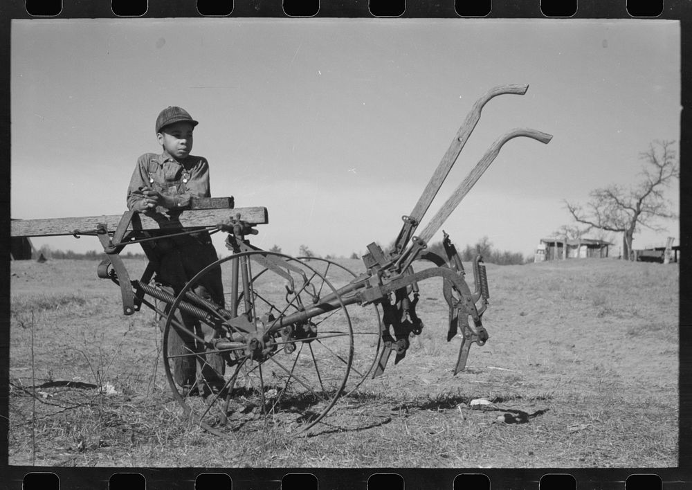 [Untitled photo, possibly related to: Son of Pomp Hall, tenant farmer, going to work the field with a spike tooth harrow…