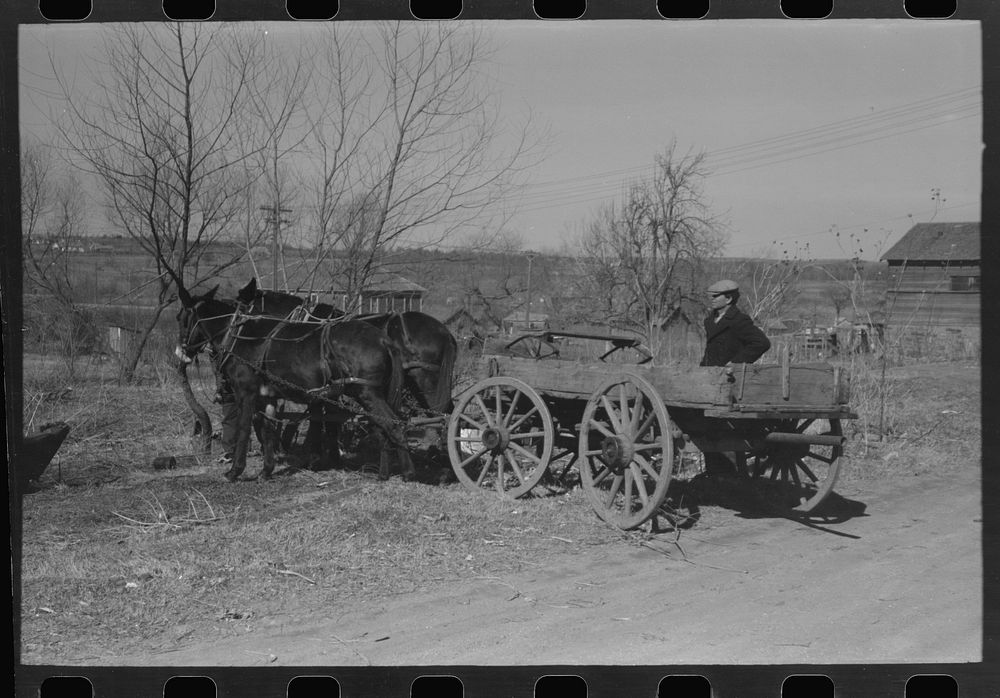 [Untitled photo, possibly related to: Pomp Hall,  tenant farmer, talking to another farmer as he waits at the smith shop in…