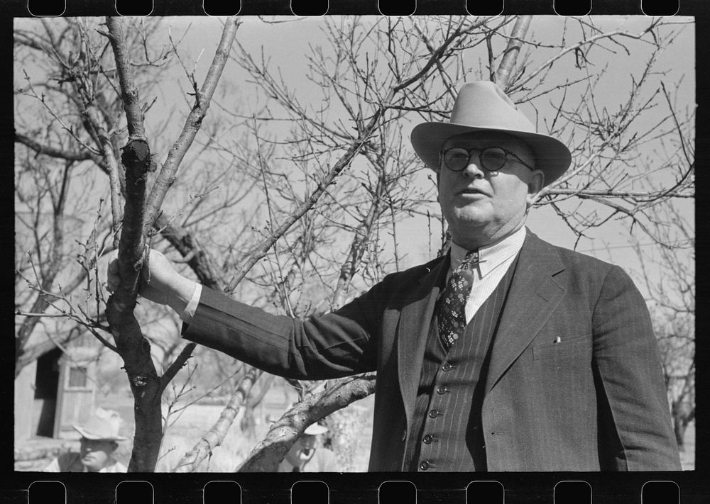 [Untitled photo, possibly related to: San Angelo, Texas. FSA (Farm Security Administration) supervisor demonstrating the…