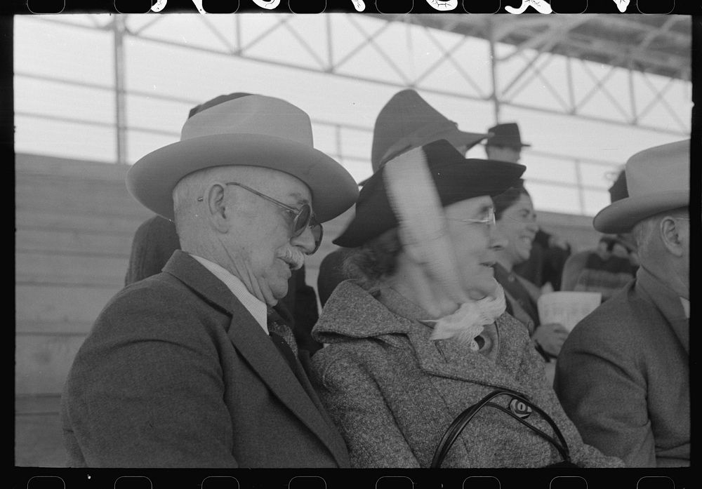 [Untitled photo, possibly related to: Elderly couple at the rodeo at the San Angelo Fat Stock Show, San Angelo, Texas] by…