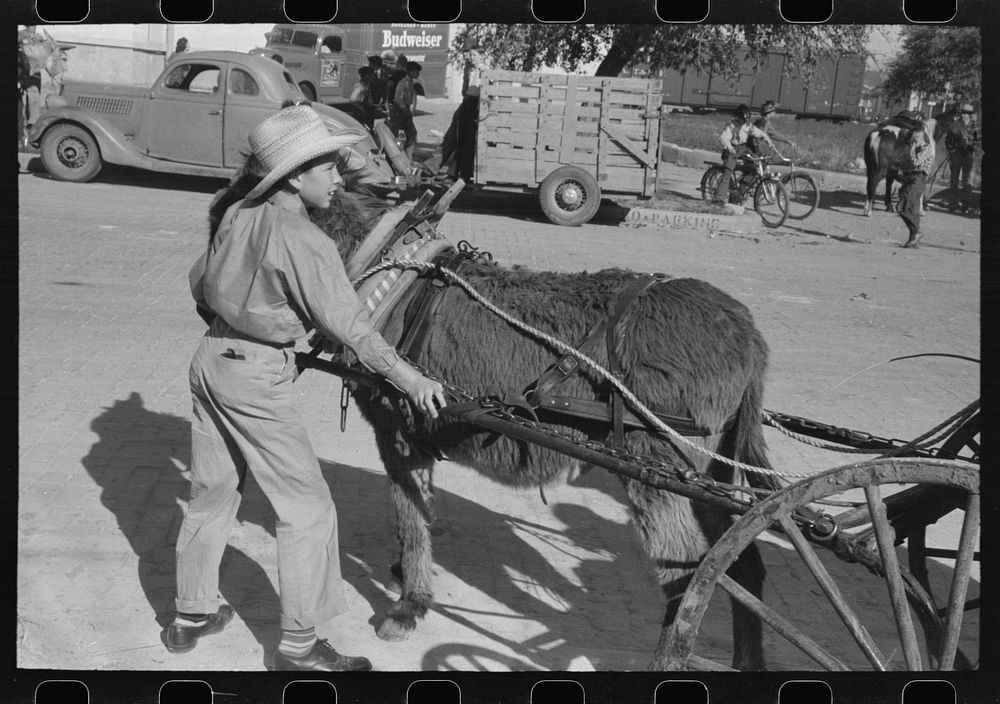 Young boy with his burro starting out with the parade which opened the San Angelo Fat Stock Show, San Angelo, Texas by…
