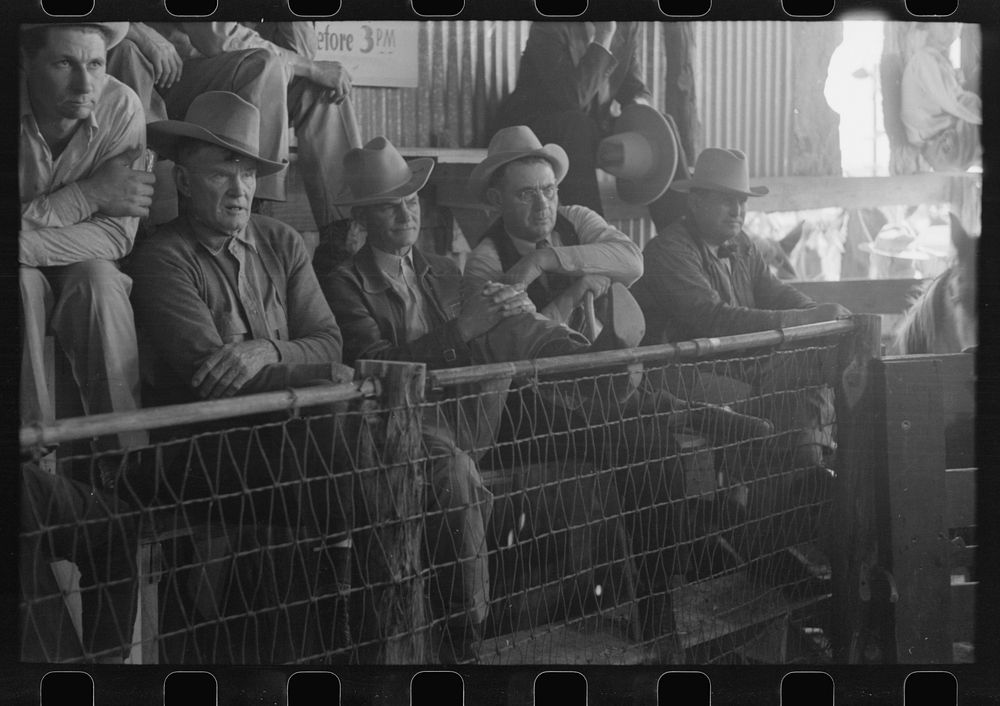 Spectators at auction of horses at the west Texas stockyards, San Angelo, Texas by Russell Lee