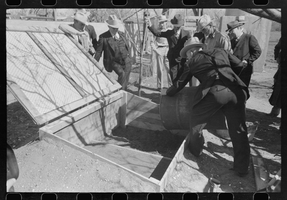 [Untitled photo, possibly related to: FSA (Farm Security Administration) supervisor stomping down the seed bed in a…