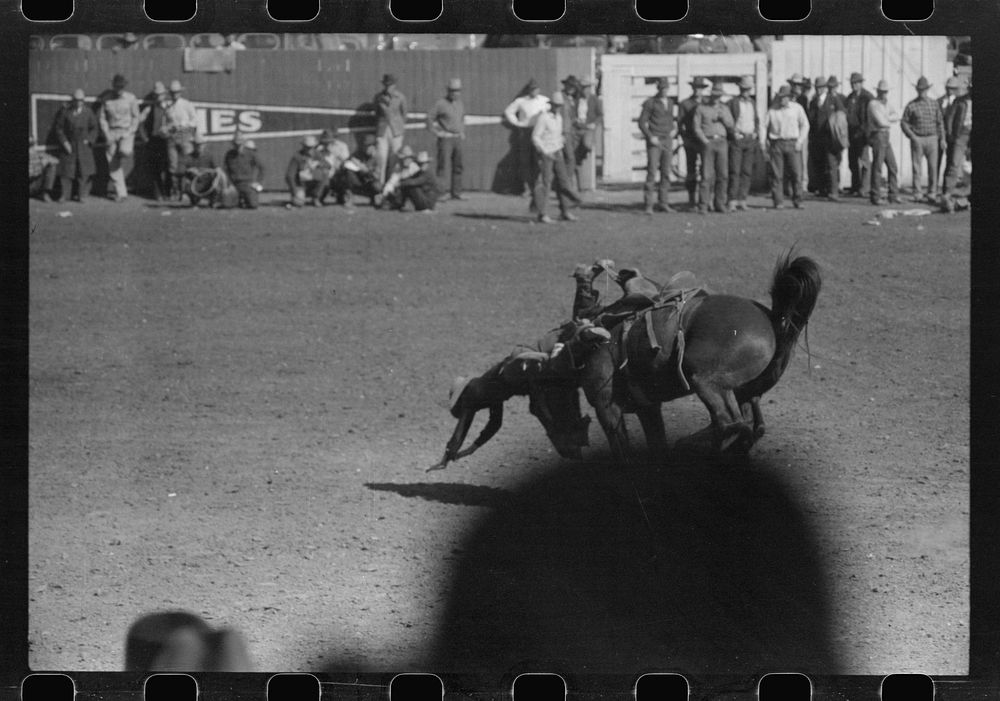 [Untitled photo, possibly related to: Cowboy being thrown from bucking horse during the rodeo of the San Angelo Fat Stock…