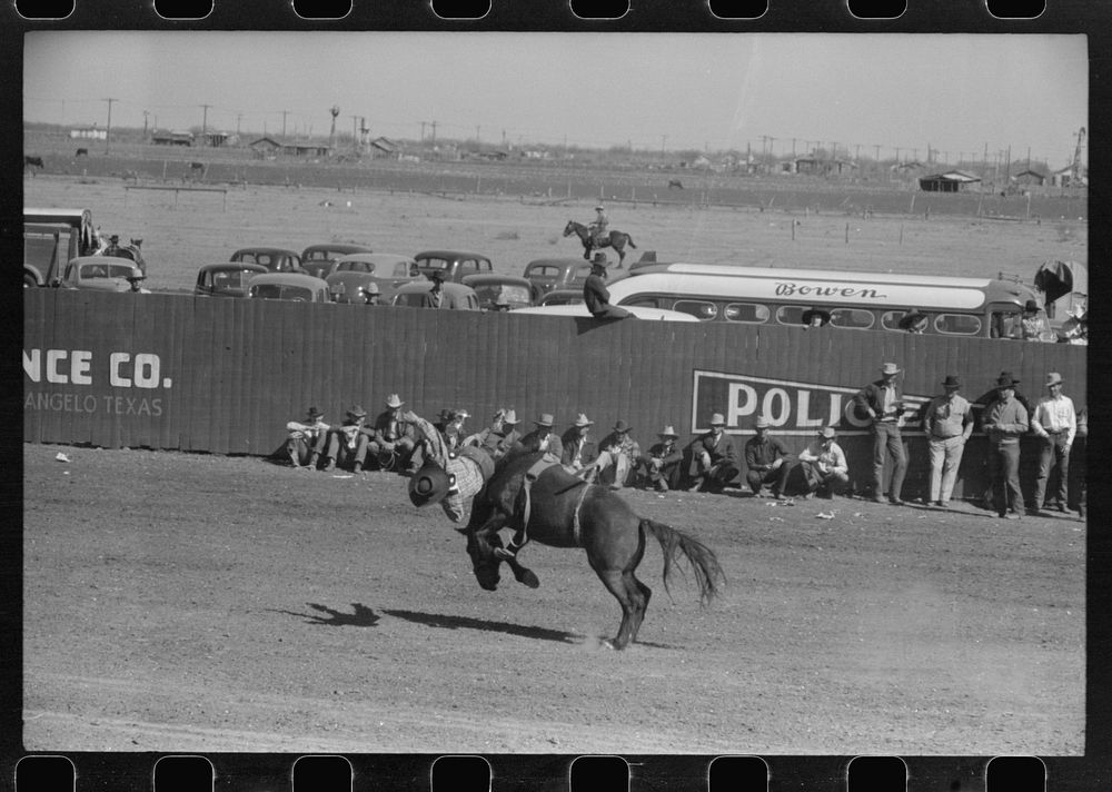 Cowboy being thrown from bucking horse during the rodeo of the San Angelo Fat Stock Show, San Angelo, Texas by Russell Lee