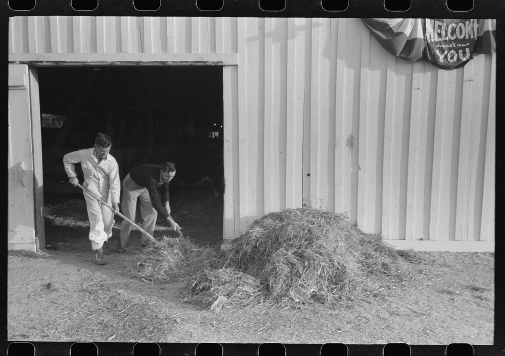 Working cowboys cleaning out the stock barns at the San Angelo Fat Stock Show, San Angelo, Texas by Russell Lee