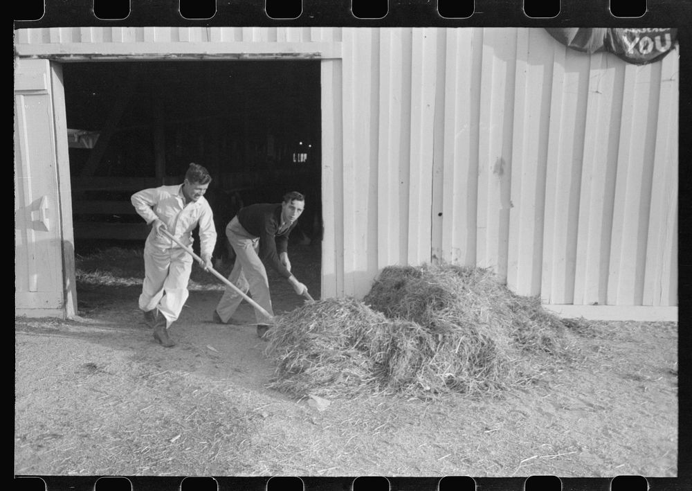 [Untitled photo, possibly related to: Working cowboys cleaning out the stock barns at the San Angelo Fat Stock Show, San…