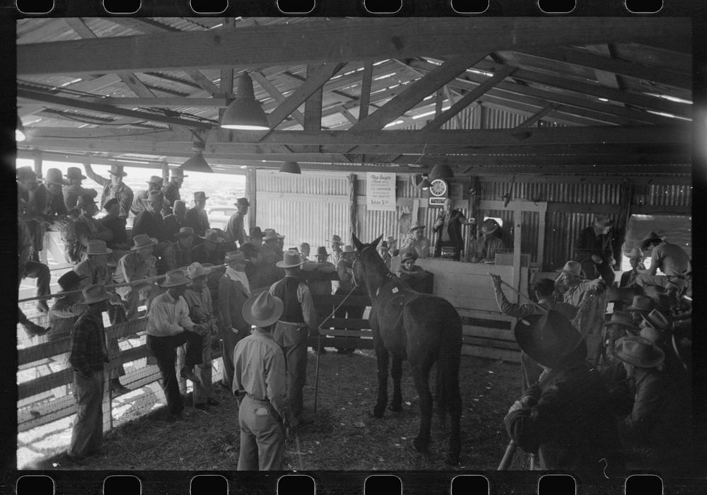 Auctioning a horse at west Texas stockyards, San Angelo, Texas by Russell Lee