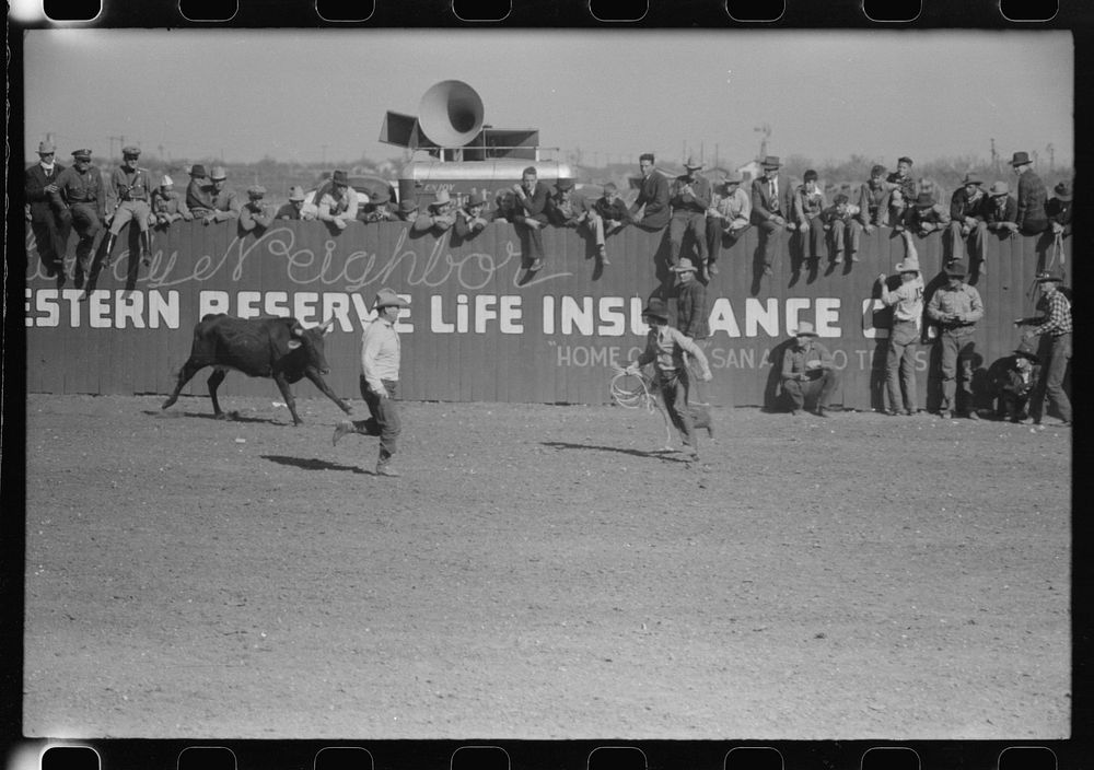 Rodeo scene at the San Angelo Fat Stock Show, San Angelo, Texas by Russell Lee